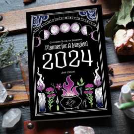 跨境新品 Planner for a Magical 2024 神奇 2024 年规划师插画