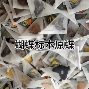 ����Ȼ�����˱�diy����ԭ������δչ���������x�P���ߵ��W���۵�