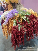 6�^�����յ�픻� ���滨���ٻ�������c��Y���b� �ٻ����l�S��