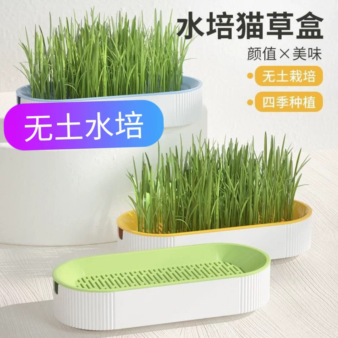 Новые трансграничные лакомства для кошек, гидропонная установка для выращивания кошачьей травы, безземельный контейнер для удаления шероховатых комочков оптом, инструмент для удаления шероховатых комочков.