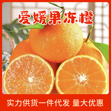 ���̳�Ʒ�|���Ĵ�����38�����ȴ��l���r���Ӯ���ˮ��������Ě����