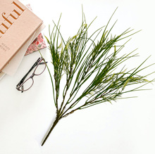 Sl Gֲ JȔ Ҿb zӰ߻