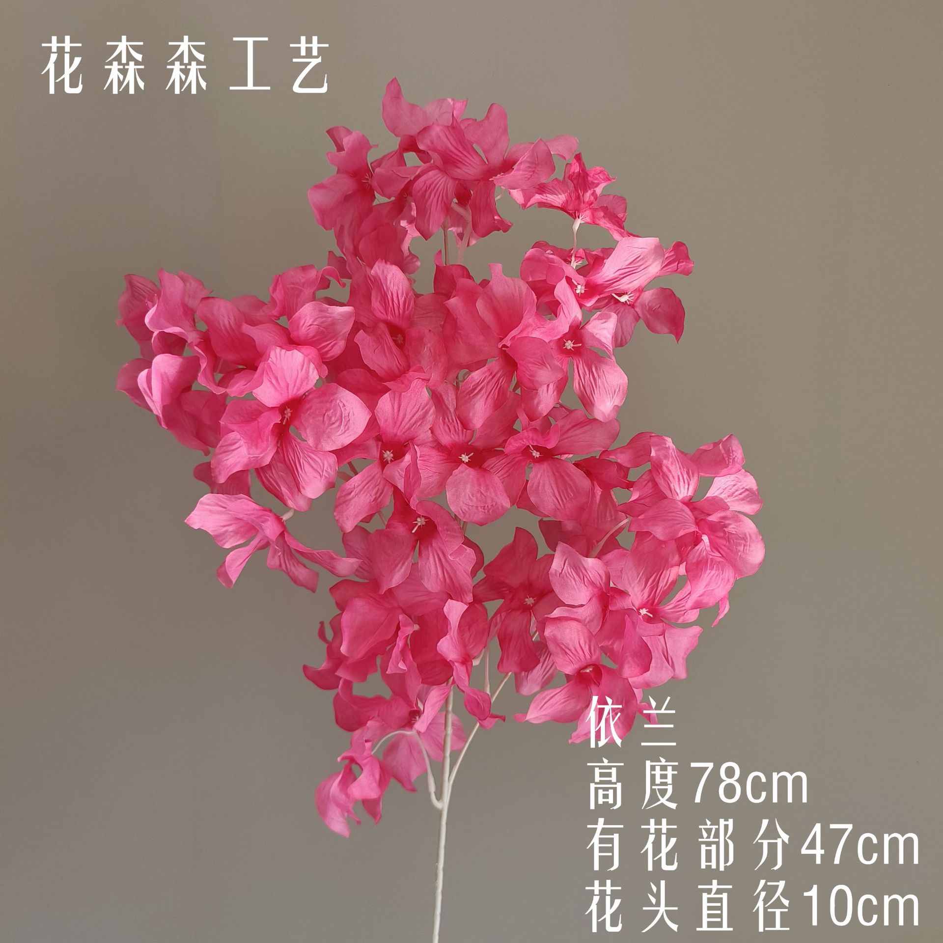 일랑 일랑 132536