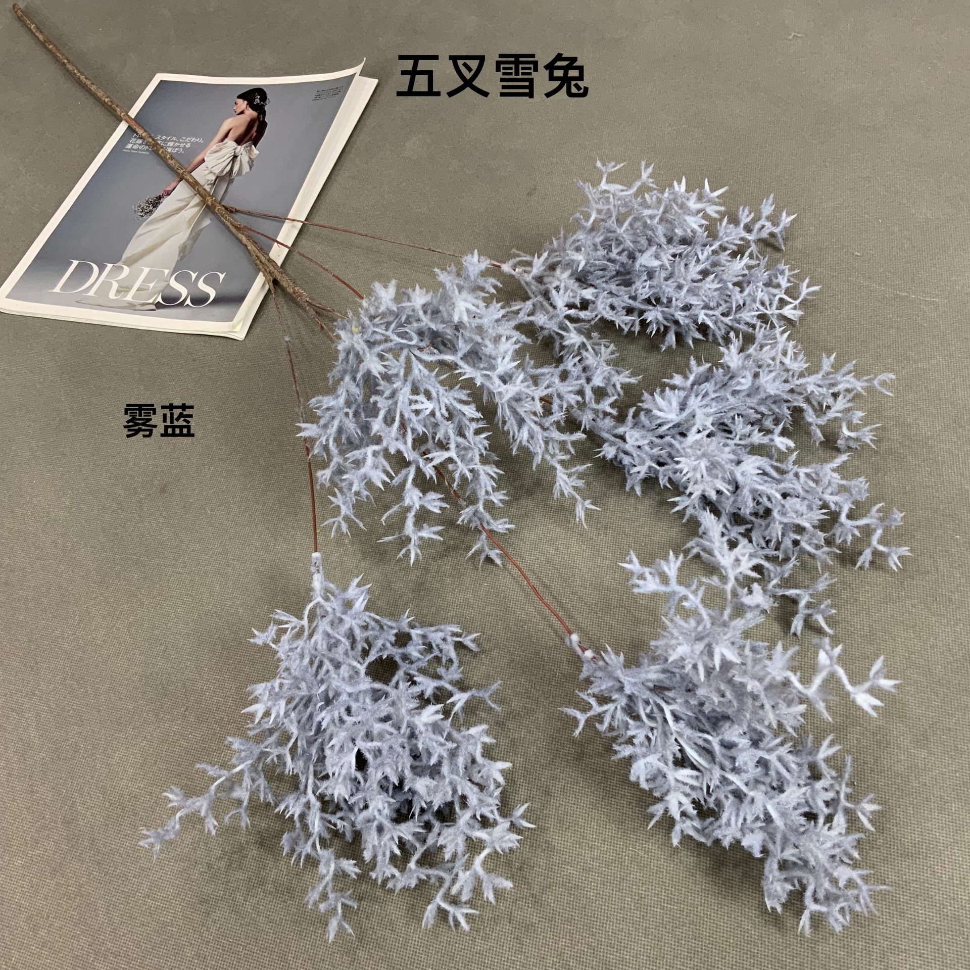 dedc9cf728073aef2dd8992ea8efb4