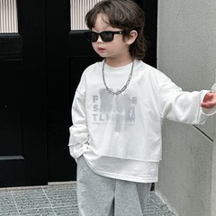 Children's two-piece set 2024 spring boys' clothing baby Korean version cool trendy kids' clothing for middle and small children casual versatile sweatshirt