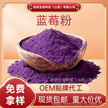蓝莓粉水溶性食品固体饮料原料蓝莓冻干粉量大可优现货包邮
