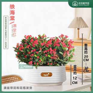�F���Ļ���÷���������҃ȿ͏d�k�����ļ��_���M�莧���ͻ����l؛