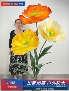 �����˴�ˇ���b���������̈��b�ˇ��Ӳ��þ��ͼ���