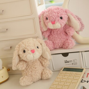 �ɐ�����С����ɫ�ɐ۹�������Jelly����ë�q���Ů�����նY�ﰲ