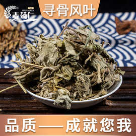 寻骨风叶  清骨凤 猫耳朵 白面风 亳州中药材批发中草药药食同源