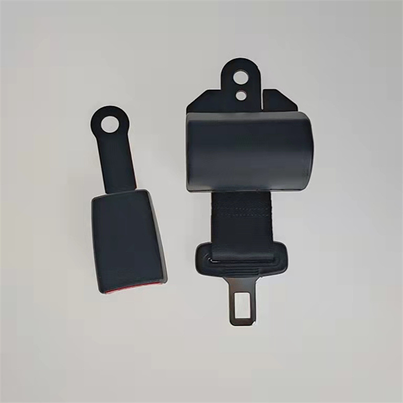Elastic luggage band