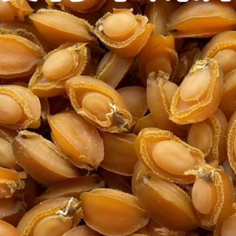 大鲍鱼干佛跳墙原材料级大连海鲜干货煲炖汤即食鲜活小批发商用