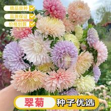 ��շN�Ӵ󻨽��z�����ͺ��͟�ջ��N���ļ�ͥԺ�̨�������B����