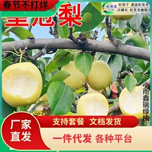 һ�����l�ʹ��������ִ������������ˮ��ѩ��޽��S����������