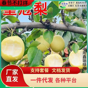 һ�����l�ʹ��������ִ������������ˮ��ѩ��޽��S����������