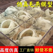 ë��ģ�͎�ë��Kģ��ģ������C����չʾ�����Ĕz������������