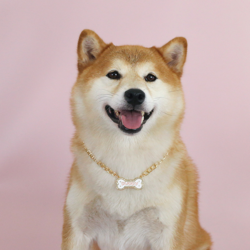宠物滴油满钻金属项链蝴蝶结猫咪猫爪字母吊坠骨头PUPPY小狗项圈|undefined