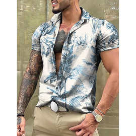 休闲翻领3D印花薄款夏威夷花衬衫男士 亚马逊外贸跨境衬衫上衣