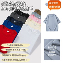 26032֧p缃ذtʿɰ涨l