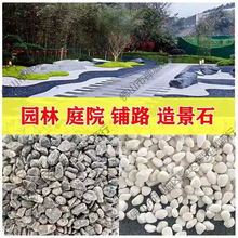 5斤灰色鹅卵石黑色景观砾石水洗石日式庭院枯山水造景灰石