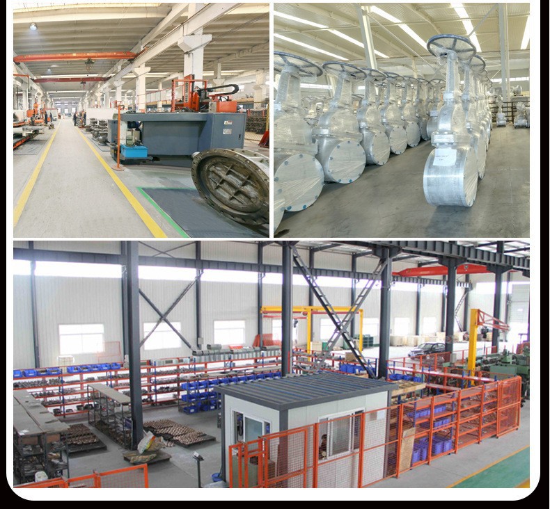 O1CN01Tb9L3I1kg9GBPjSAE_!!2218