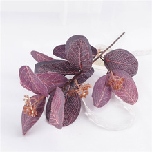 �S�����l���R�d�羳؛Դ��֧�����ȼ������滨�zӰ���߰����ȼ���