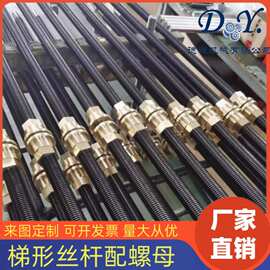 左右旋梯形丝杠丝锥螺母套装正反牙螺纹丝杆法兰铜不锈钢螺杆加工