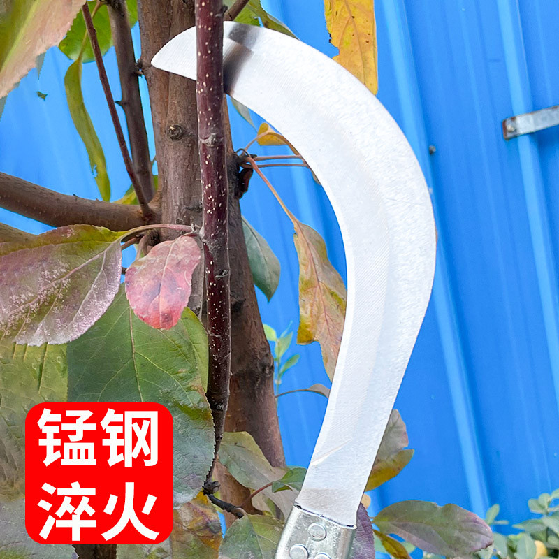 Exportación cuchillo de caña de azúcar cuchillo de plátano acero manganeso templado cortar ramas guisa cortar hierbas al aire libre cortar coco cuchillo de sandía