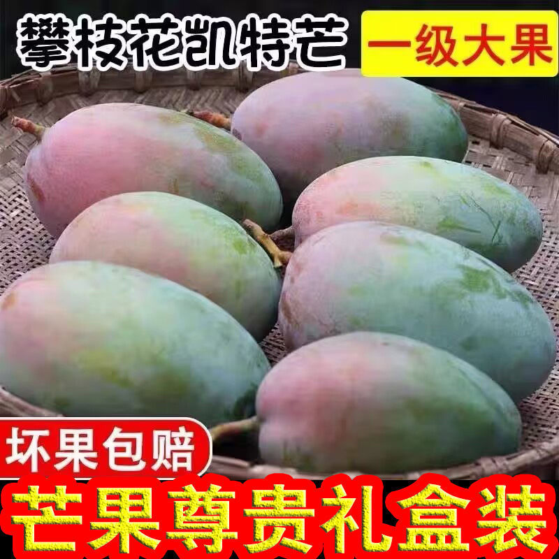 【精品】凯特芒果攀枝花新鲜现摘应季水果批发非大青芒贵妃台农芒