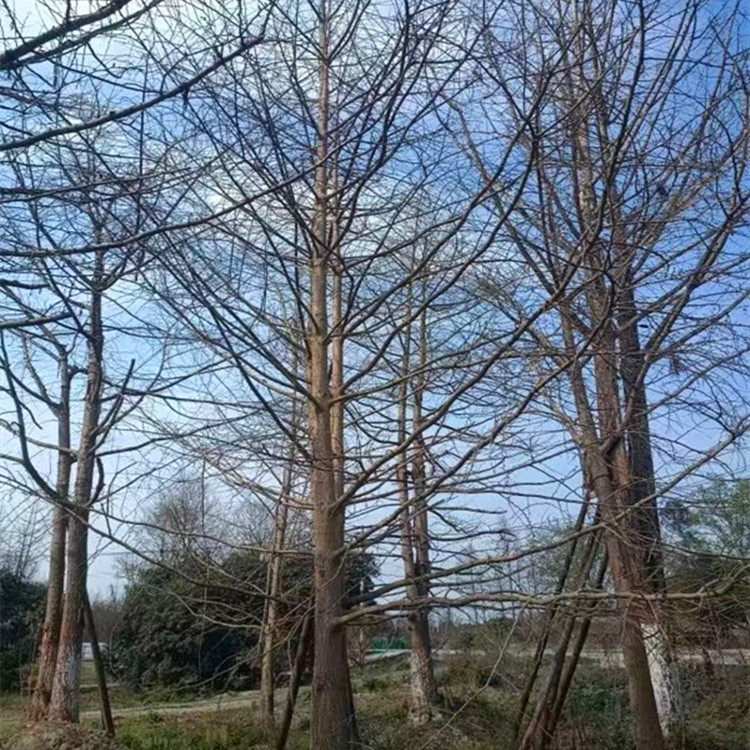 ΢��ͼƬ_20230406113027