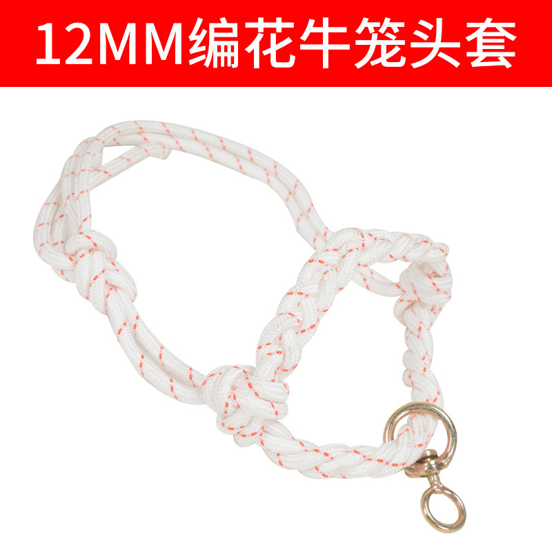 Cabeza de jaula de buey, cuello de buey, cuello de buey