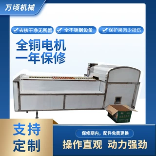 大型西梅去核机西梅去核切瓣机半自动西梅去核设备