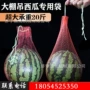 重物加厚果蔬水果机器