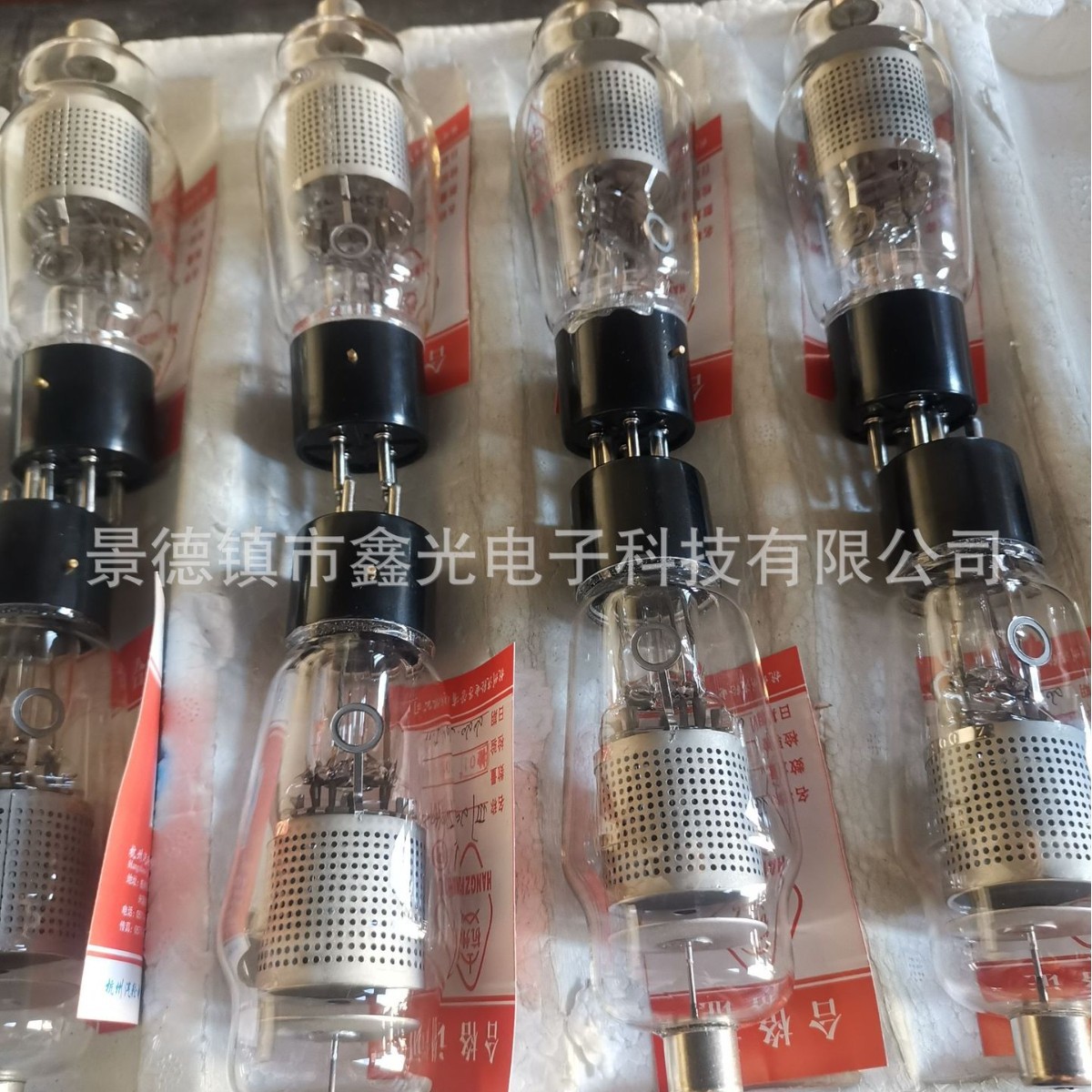 NL-5557𻨹͸¹ʸѹƵС