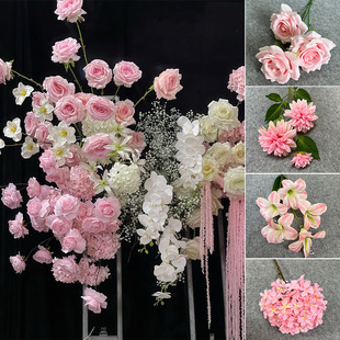 �¿��ɫϵ��Y�ٻ��������ŷ��滨��c���ĶY���������b���