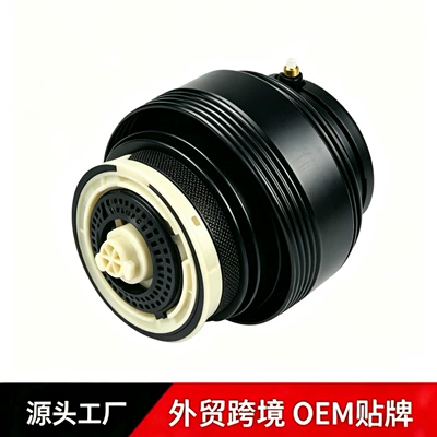 Suitable for Bmw Rear Shock Absorber 535Gt F07 Rear Air Bag Air Bag Shock Absorber 37106781827 (damping system)