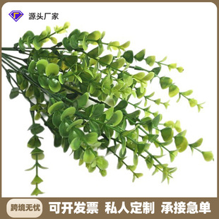 �羳����Gֲ���ϲ�7���ȼ���ֲ����Բ廨�b��滨��������