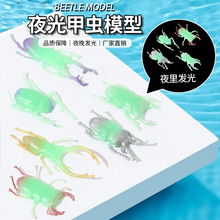 跨境仿真动物昆虫模型夜光浮水甲虫tpr新奇创意虫子儿童玩具批发