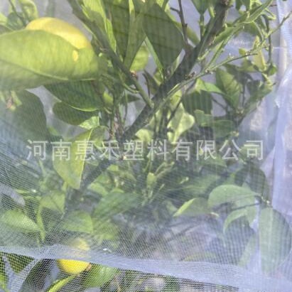 一件代发跨境使用可折叠大棚防虫网 温室农用植物园艺全新料防虫