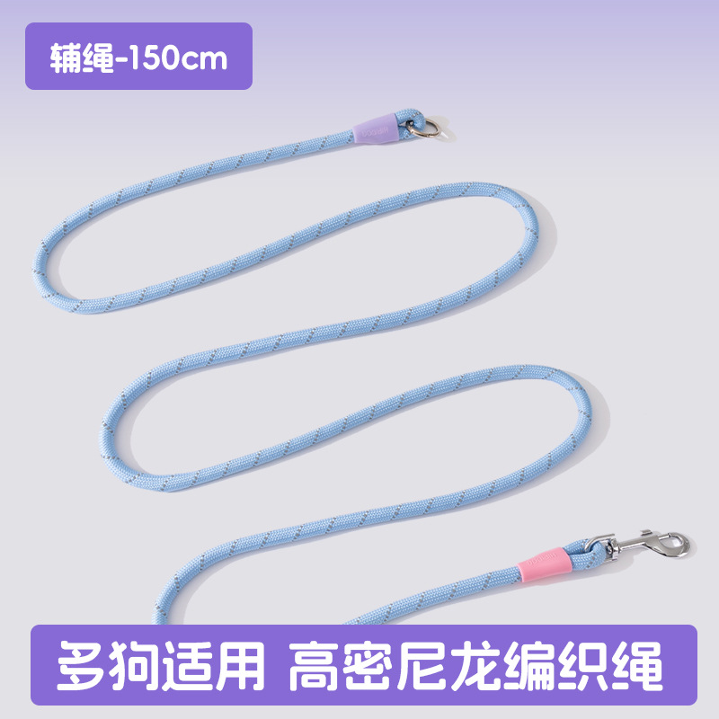 Los perros salen, perros pequeños y medianos, contraste de moda, uno arrastra tres, cuerda de tracción, muchos perros paseando a su perro, cuerda para perros, suministros para perros