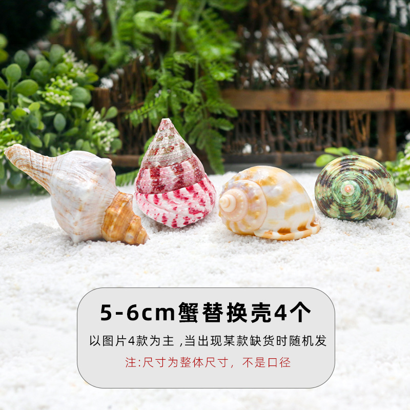 "5-6cm 게 교체 껍질 4개 [결합 팩 A] ""풍부한 색상""."