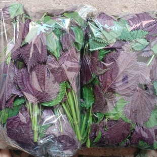 ���U���rʳ�����Kţ���~�r����·������ȥ���������r�Fժ���K�~