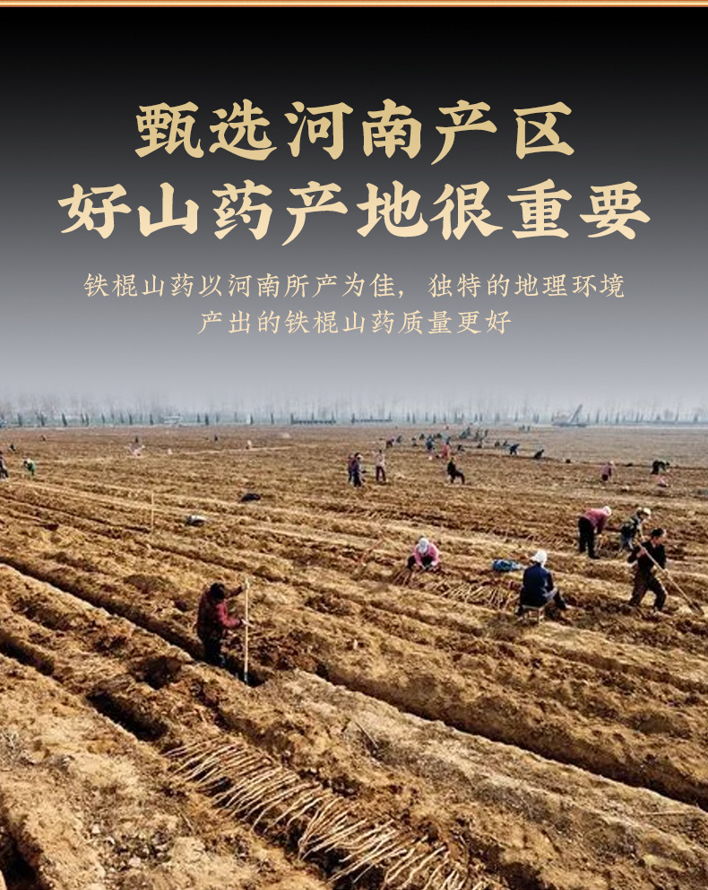 Tie Gun Shan Yao Powder (Dioscorea polystachya) — Henan Jiaozuo Chinese Yam Powder, 100g Jar key features
