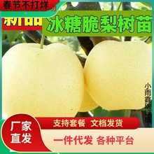 һ�����l�޽���������Ǵ�������Sˮ���Ә��m�������������