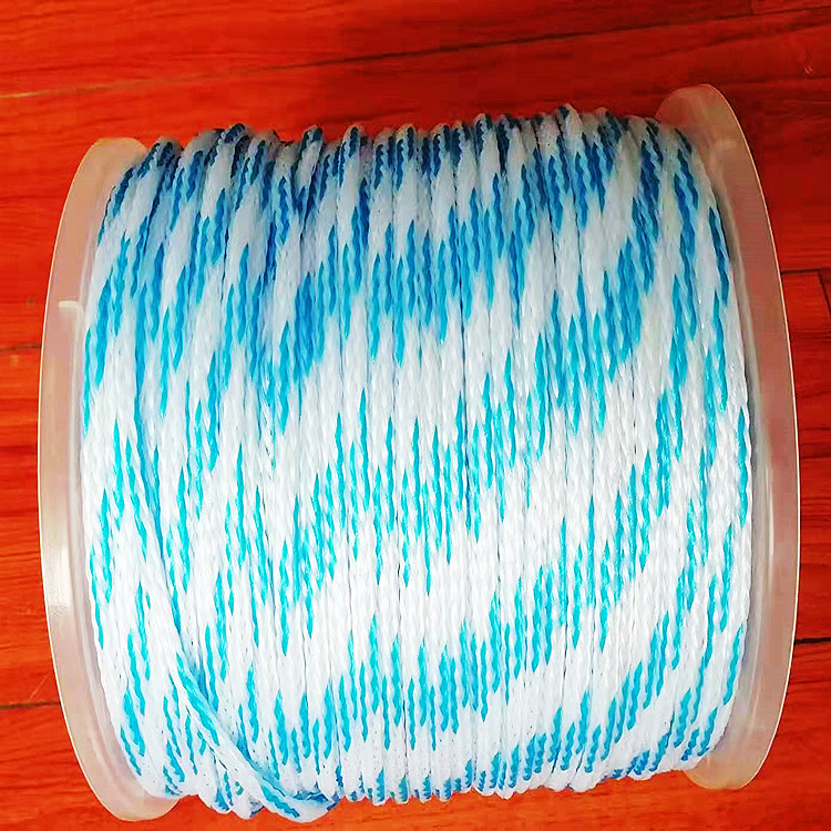 Fabricante de suministro de cuerda de plástico PE cuerda de nylon cuerda de plástico PE cuerda trenzada cuerda de plástico de color resistente al desgaste