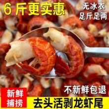 新鲜龙虾尾冷冻大号无冰衣麻辣小龙虾尾即食生鲜商用鲜活虾球