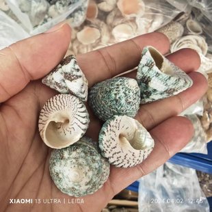 ����ؐ���G����3-5cm�ľ�з��Q���~��ˮ���Ĕz���߼Ҿә����b�