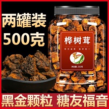 桦树茸俄罗斯旗舰店野生正品一斤黑金颗粒茶正品野生非长白山