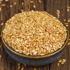 黄金亚麻籽 内蒙古褐色亚麻籽  展会展销会地摊 可寄样