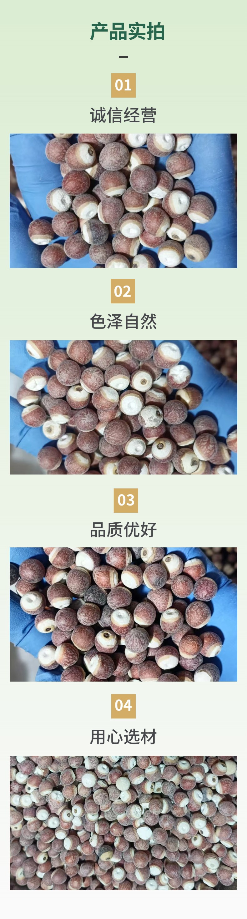 Dried Euryale Ferox Seeds Qian Shi 500g Chinese Herbal Food Grain specifications